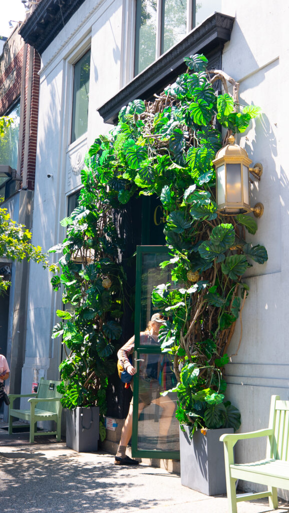 Cannavita in Astoria