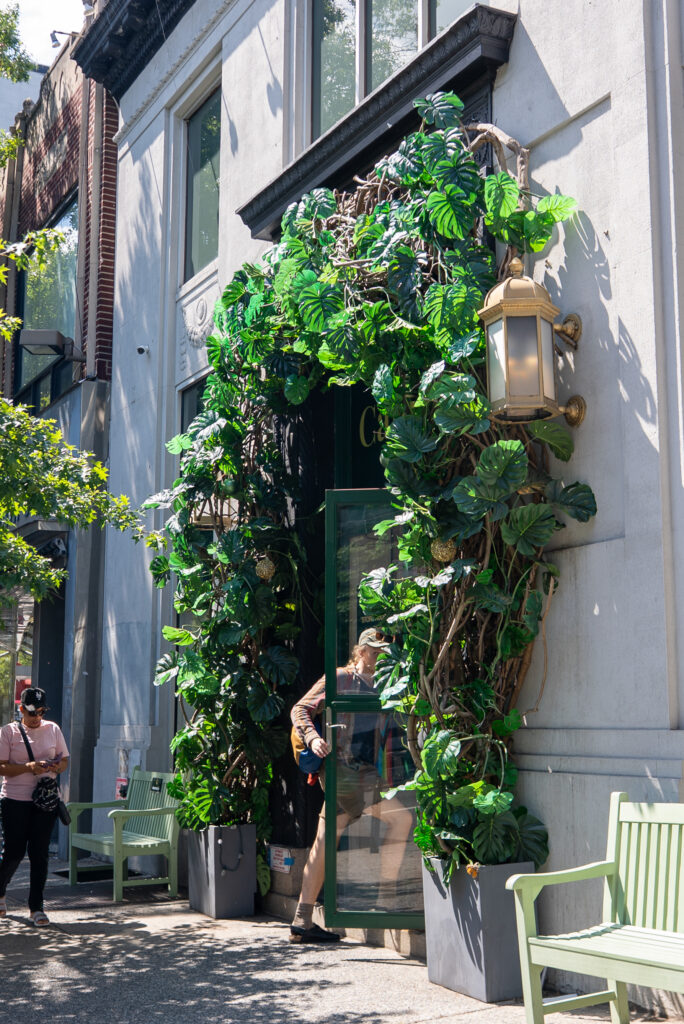 cannavita_licensed_dispensary_front