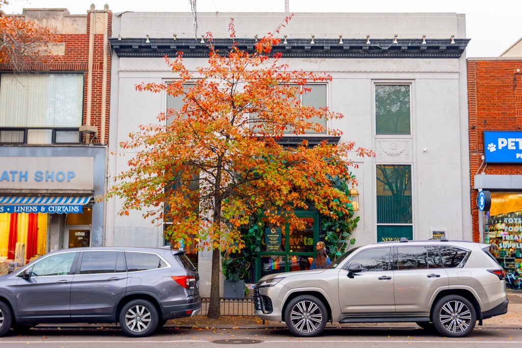 free_pizza_with_delivery_order_cannavita_astoria_dispensary_promo