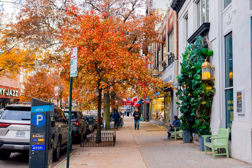dispensary in queens with local brands