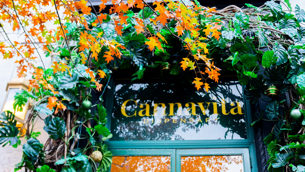 cannavita_legal_dispensary